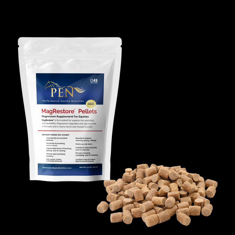 MagRestore bag with pellets