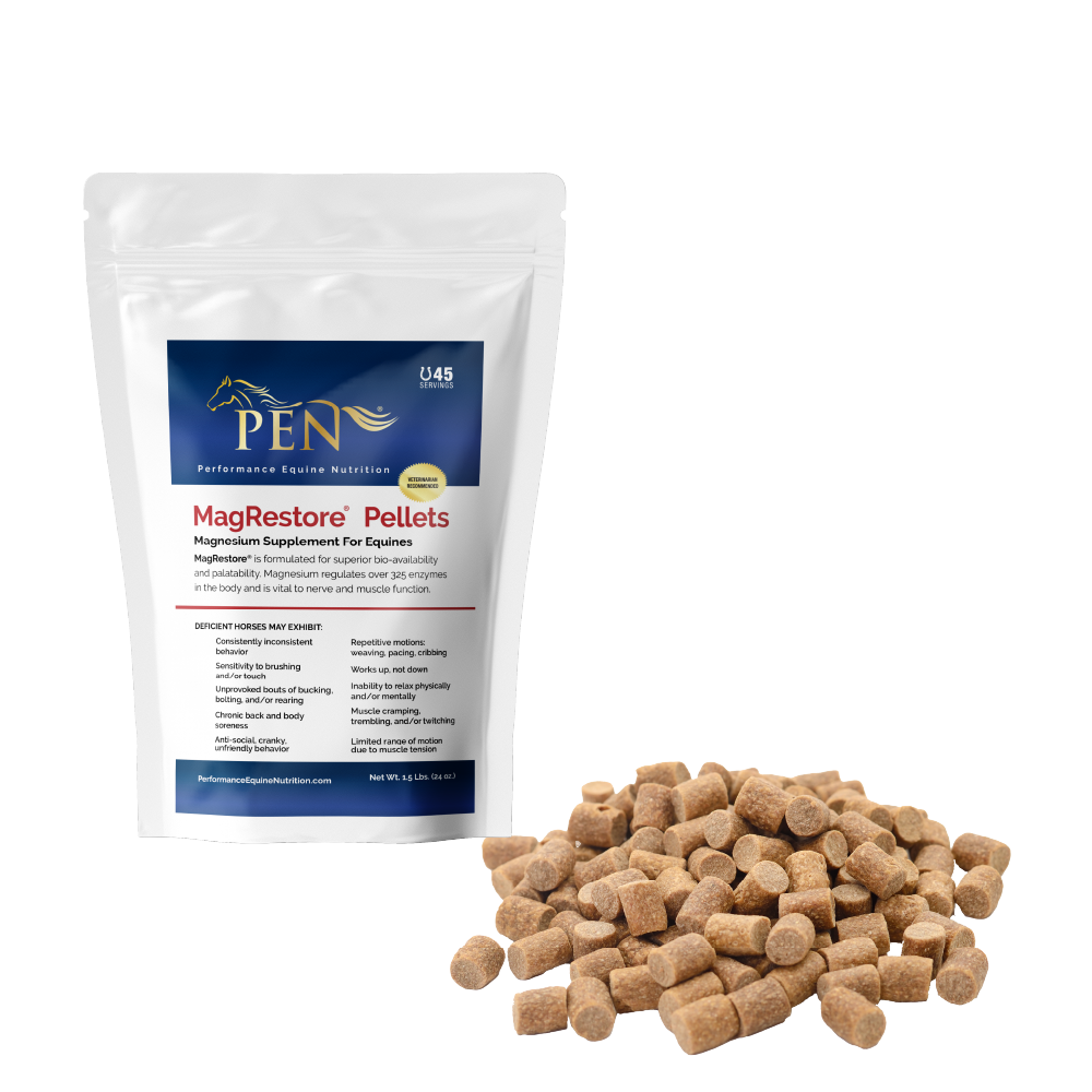 MagRestore bag with pellets