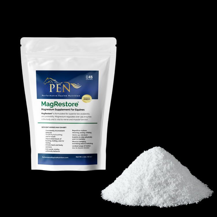 MagRestore bag with powder