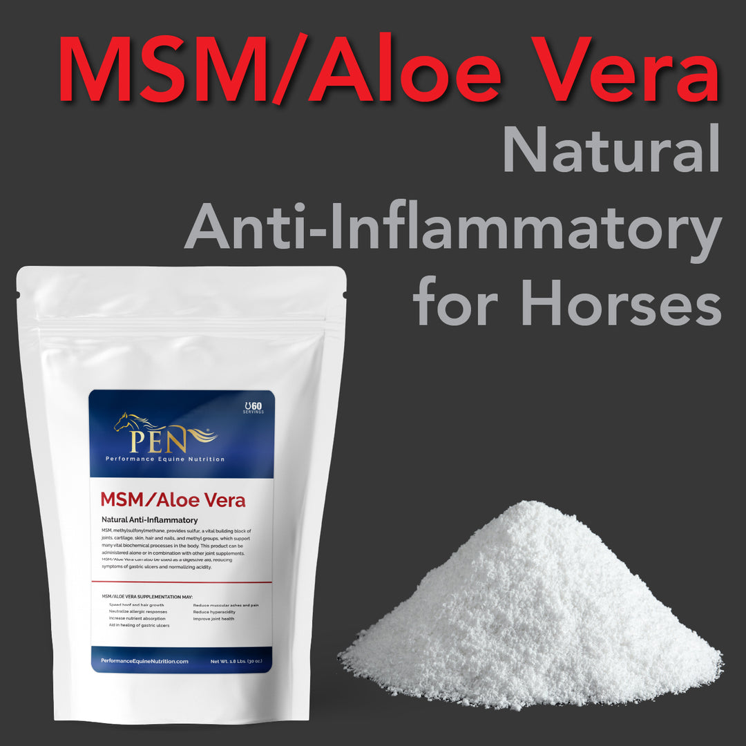 A white package labeled MSM/Aloe Vera Natural Anti-Inflammatory for Horses with white powder in front of it.