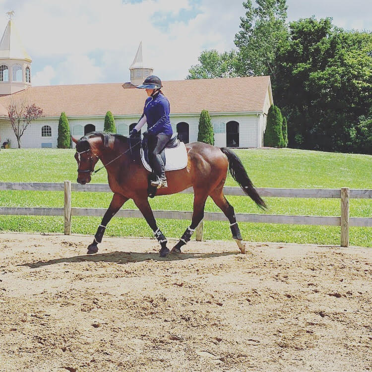 Hannah - equestrian in front of barn