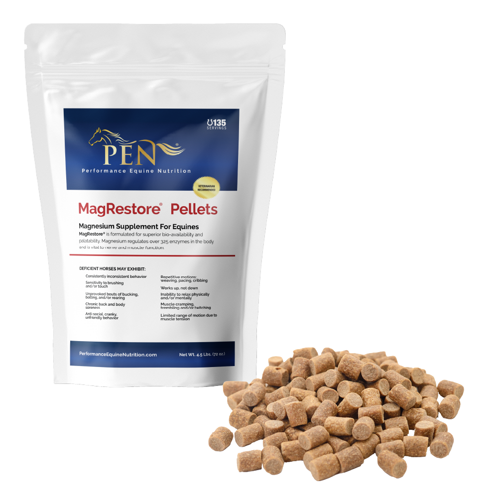 MagRestore bag with pellets