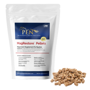 MagRestore bag with pellets