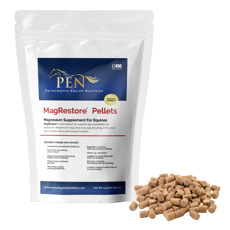 MagRestore bag with pellets