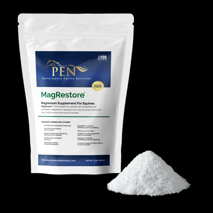 MagRestore bag with powder