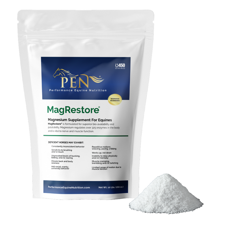 MagRestore bag with powder