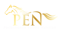 A logo featuring a golden horse silhouette with a flowing mane, positioned above text.