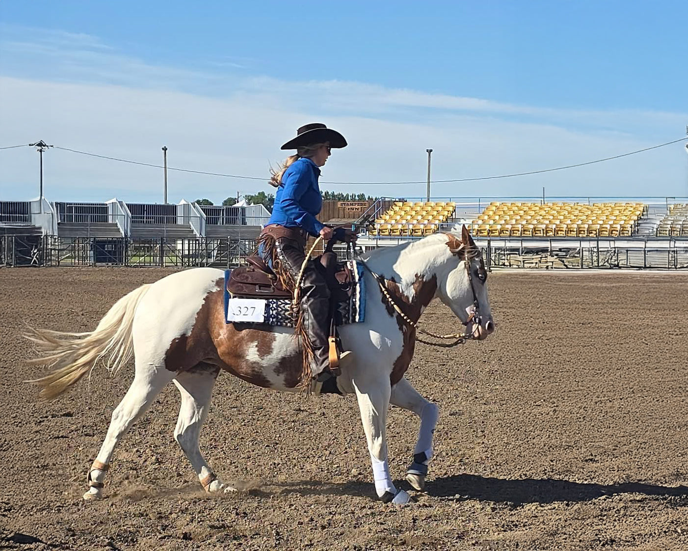 horse and rider in a competition