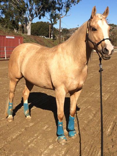 Kimber's reduced muscle pain and tightness.