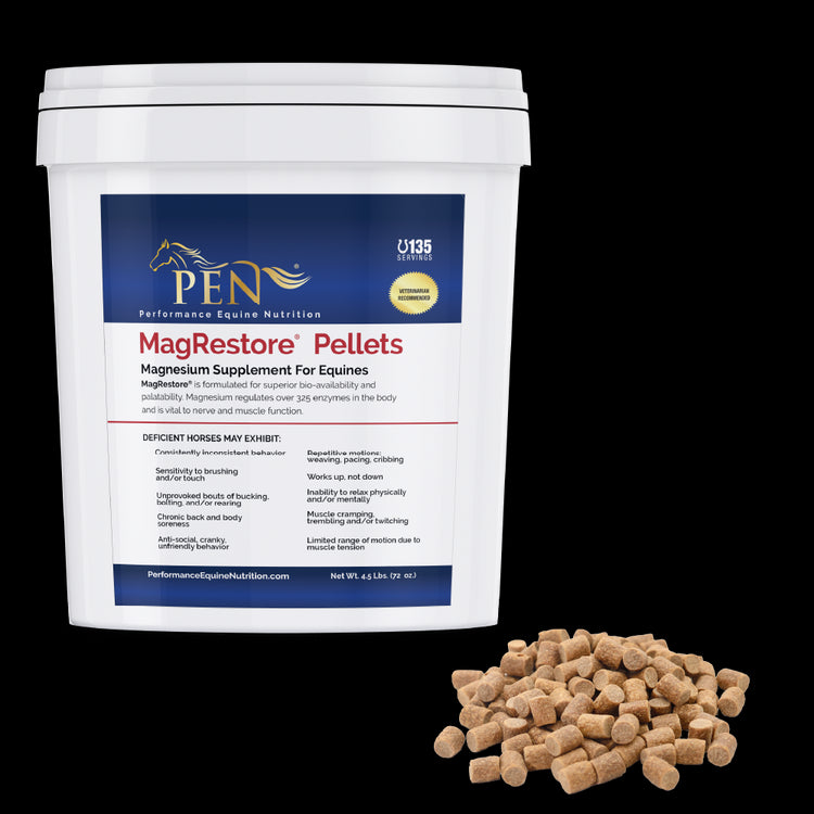 MagRestore bucket with pellets