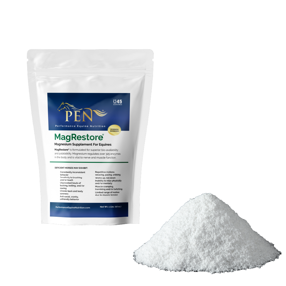 MagRestore bag with powder