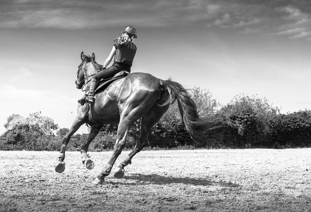 equestrian and her horse