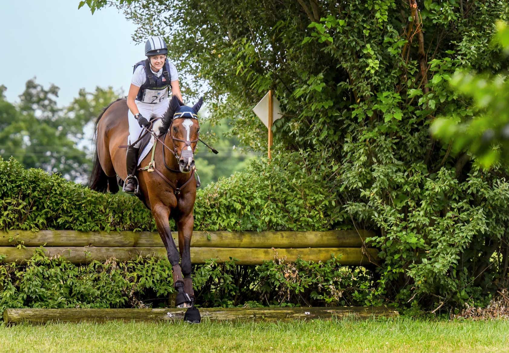 Horse and rider leaping over a fence