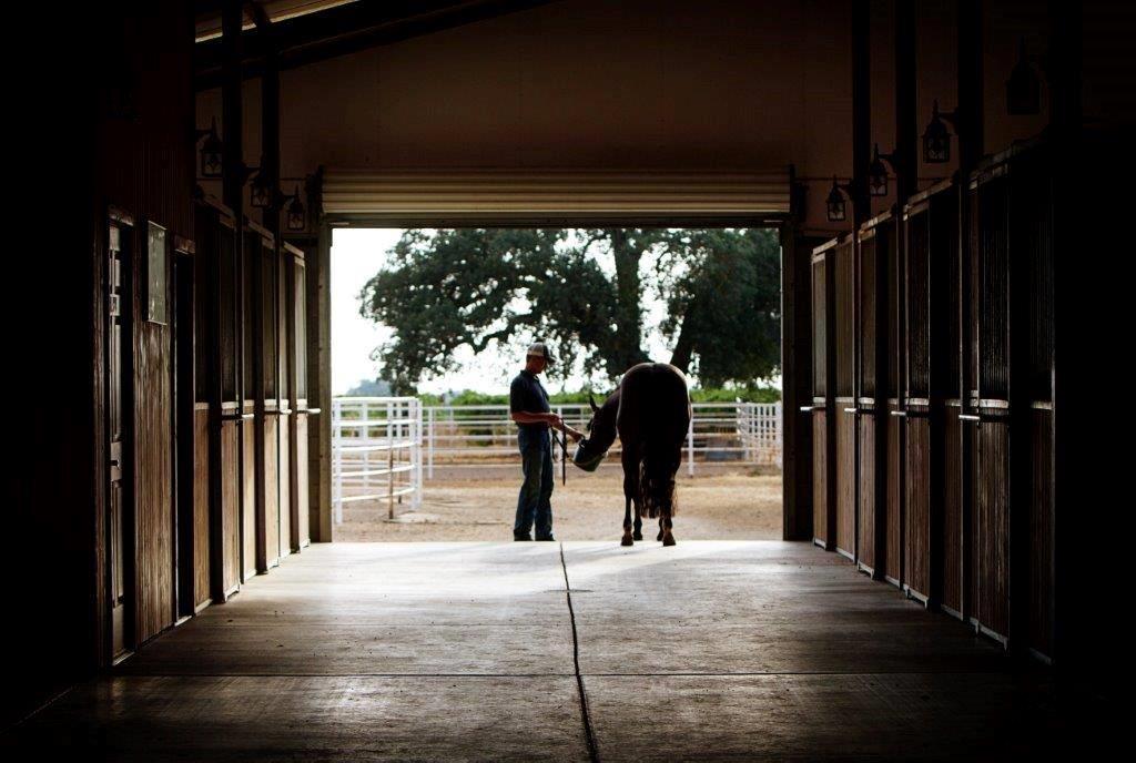 man leading horse from barn