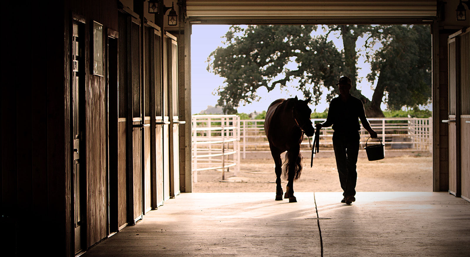 man leading horse from barn with feed