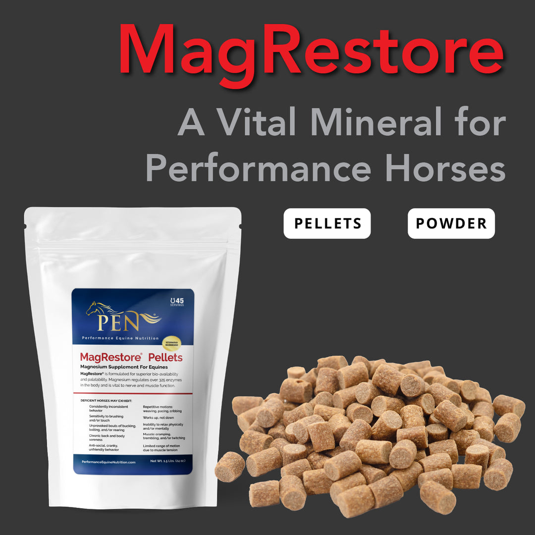 MagRestore bag