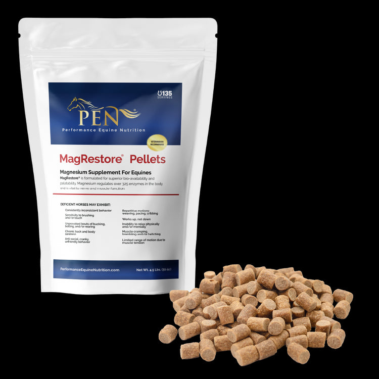 MagRestore bag with pellets
