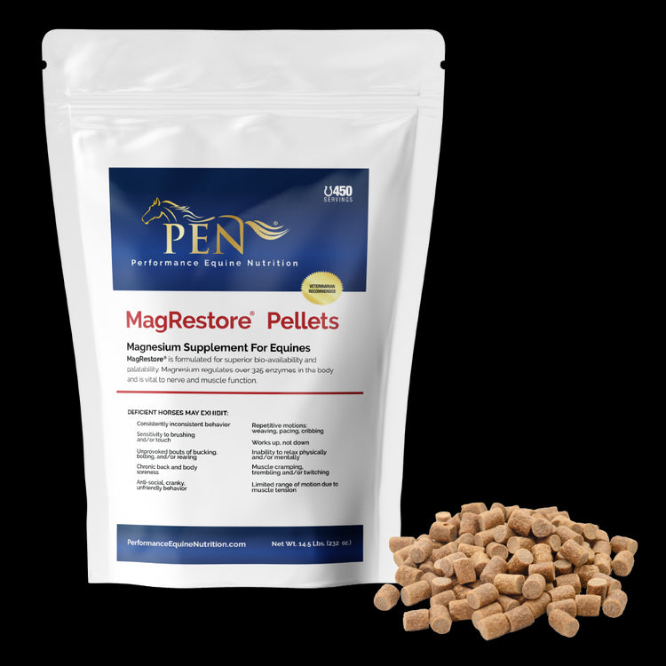 MagRestore bag with pellets