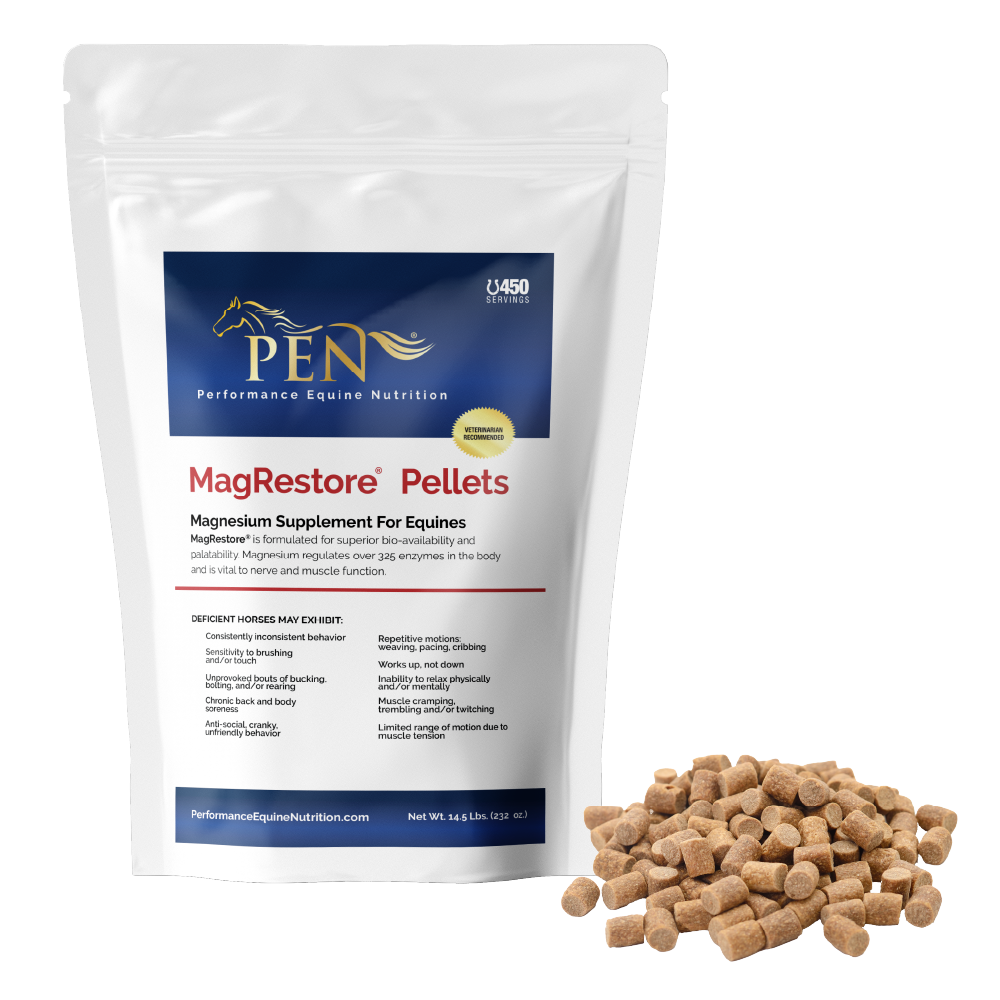 MagRestore bag with pellets