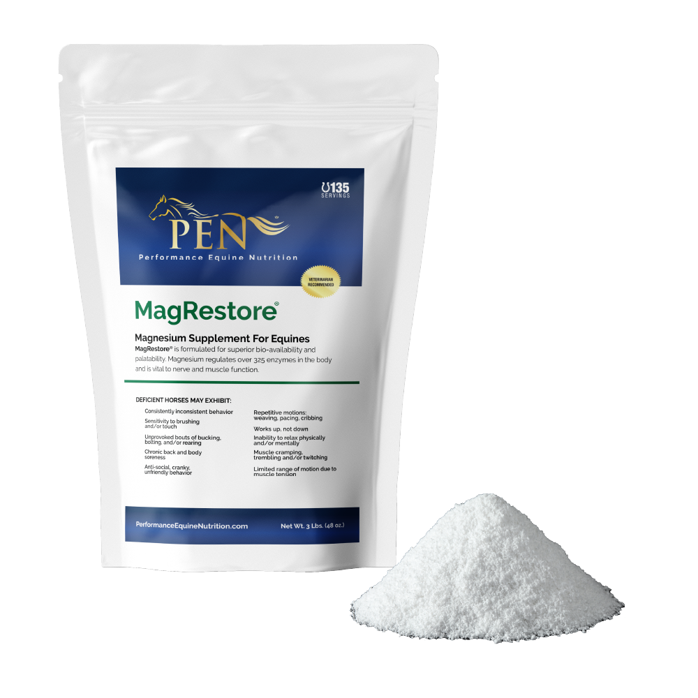 MagRestore bag with powder