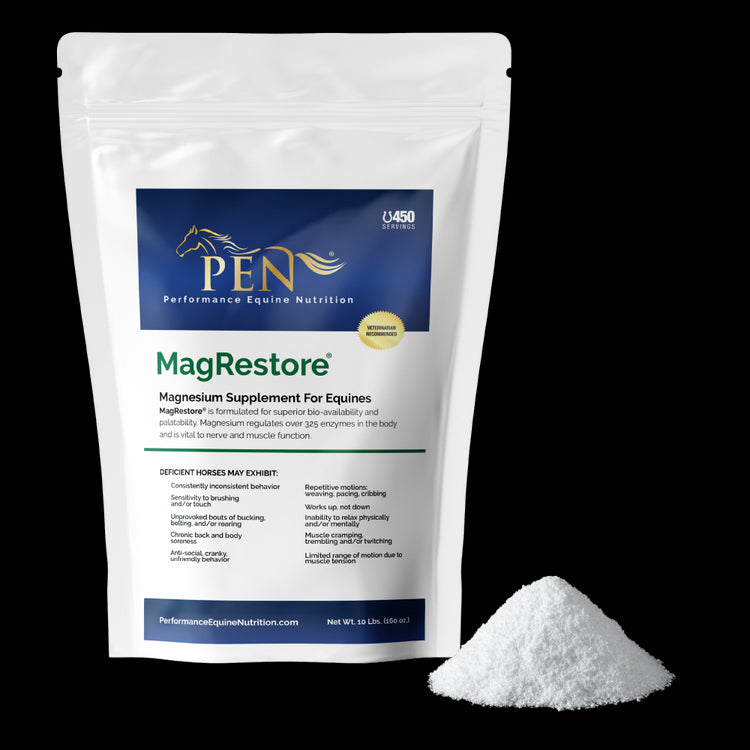 MagRestore bag with powder