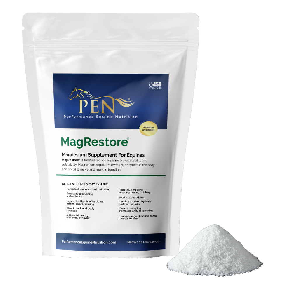 MagRestore bag with powder