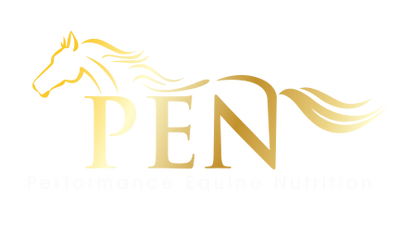 A logo featuring a golden horse silhouette with a flowing mane, positioned above text.